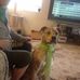 Edwin Root - Facebook