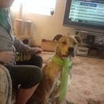Edwin Root - @rubyrootrogers - Instagram