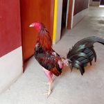 Rosillo Rivera Edwin - @edwinrosillorivera - Instagram