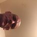 Edwin Rothgeb - Facebook