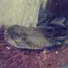 Edwin Rowan - @edwin.rowan - TikTok