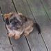 Edwin Runner - Facebook