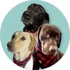 Winston, Rutledge and Reginald - @winstonrutledgeandreggie - TikTok