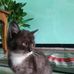 Edwin Ryan - Facebook