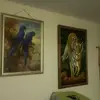 Edwin Sabillon - @edwin.sabillon7 - TikTok