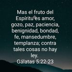 Edwin Sain Losada - @losadaedwin - Instagram