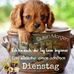 Otto Edwin Schreiber - Facebook