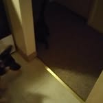 Edwin Sewell - @ted.s.0.s - Instagram