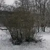 Erwin - @erwinspitzer - TikTok