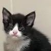 EdwinSpangler - @apoyospangler - TikTok