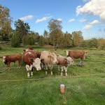 edwinthornstr - @edwinthornstr - Instagram