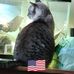 Edwin Todd - Facebook