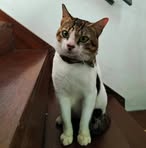 Edwin Tong - Facebook