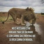 Edwin Torrez Copete - @edwincopete - Instagram