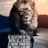 edwintowers499 - @edwintowers499 - TikTok