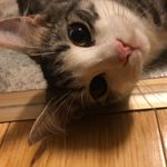 Edwin Tsang - @tsang_hoiwing - Instagram