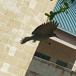 edwin tucker - @tucker.edwin - Instagram