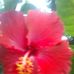 Ed Ulrich Laura - Facebook
