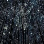 Edwin Valeri - @edwin.valeri.7 - Instagram