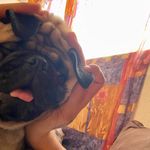 Edwin Valles - @edwinvalles1 - Instagram
