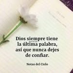 Edwin Vasques - @edwin.vasques.3956 - Instagram