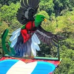 Gregorio Edwin Vasques - @edwinvasquesgregorio - Instagram
