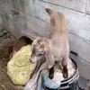 Edwin Vela - @edwin.vela866 - TikTok
