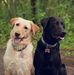 Ed Veldman - Facebook