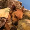 Edwin Venancio - @edwin.venancio0 - TikTok