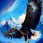Edwin Venegas - Facebook