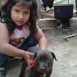 Edwin Renzo Castillo Vigo - @marco_polo_tello_miranda - Instagram