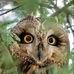 Edwin Wafula - Facebook