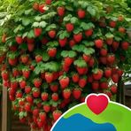 Edwin Wainaina - Facebook