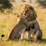 Edwin wainaina - @wainaina9288 - Instagram