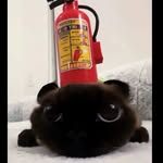 Edwin Ramirez - @ttv_waldo_edwin - Instagram