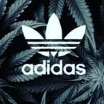 Edwin walter - @edwinwalter57 - Instagram