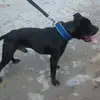 Edwin Warren - @edwin.warren1 - TikTok
