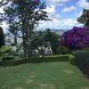 edenwarwick - @edenwarwick - TikTok