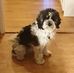 Edwin Warwick - Facebook