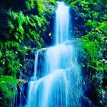 Edwin Waters - @randum.dumdum - Instagram