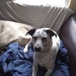 James Edwin Welsh - @james.e.welsh.52 - Instagram