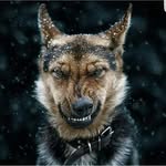 Edwin van wessel - @wesseledwinvan - Instagram