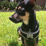Francis Edwin West, IV (Eddie) - @eddiethefourth_ - Instagram