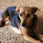 Edwin Whitmore - @roscosbuddy808 - Instagram