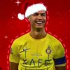 team koala - @edwin.wilder.xho - TikTok