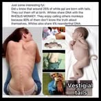 Edwin Wilkinson - Facebook