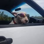 Edwin Willemse - @edwinwillemse - Instagram