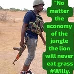 Edwin Willis - @willytransporter - Instagram