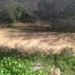Edwin Wilson - @edwin_wilson - Instagram