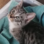 @edwin_winkel - Instagram